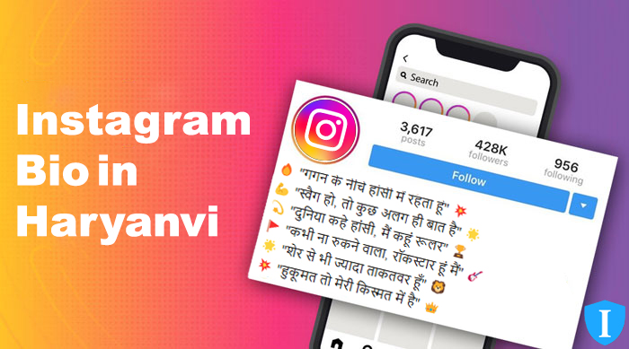 Instagram Bio in Haryanvi